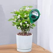 Bodenfeuchtigkeitsmesser für Zimmer- und Gartenpflanzen