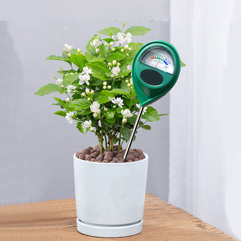 Bodenfeuchtigkeitsmesser für Zimmer- und Gartenpflanzen