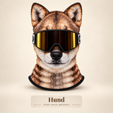Hund